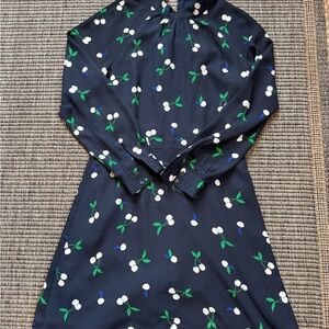 Banana Republic Navy Floral Long Sleeve Dress